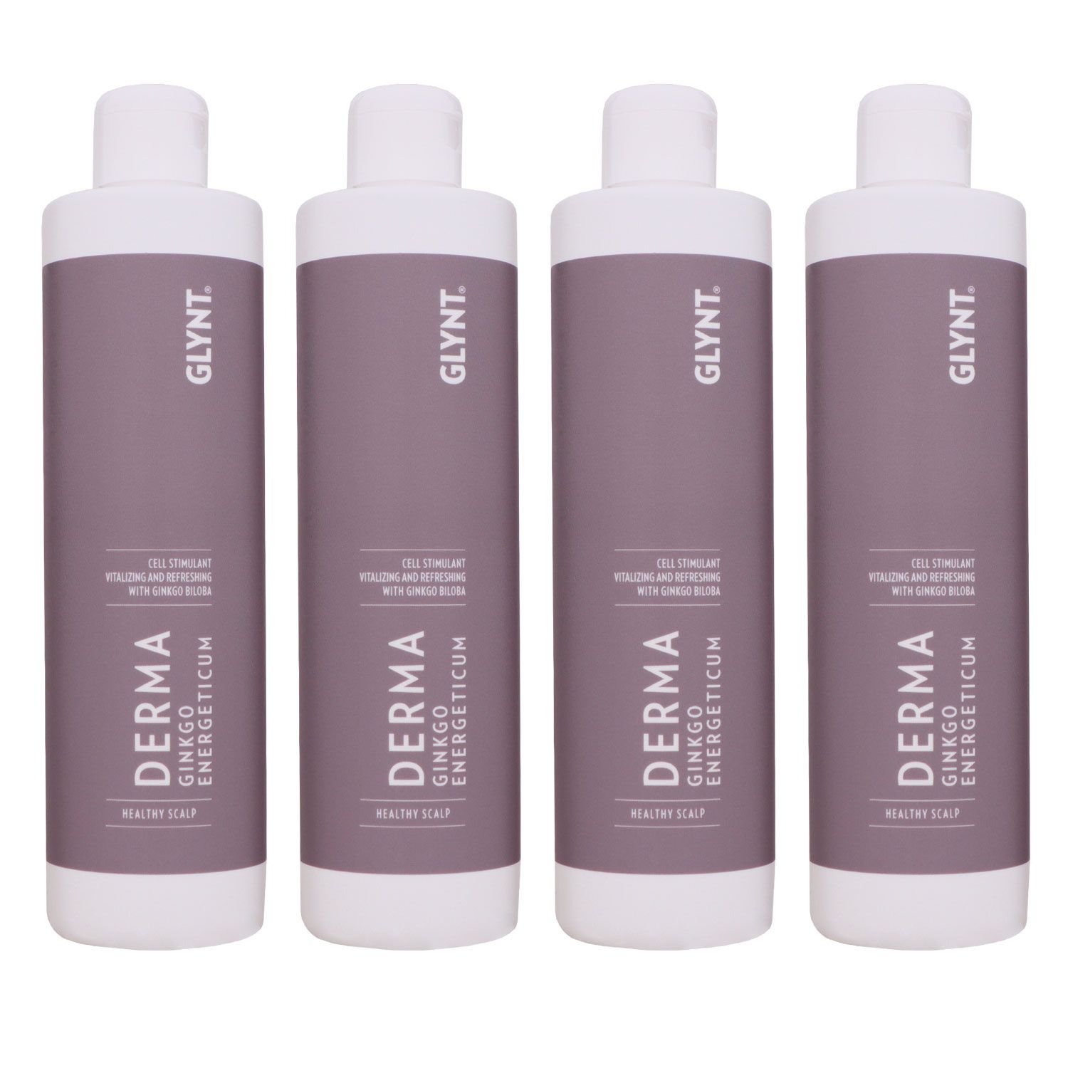 GLYNT Active Ginkgo Energeticum 6 4 x 500 ml Set bei Riemax