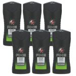 Axe Duschgel 6 x 250 ml Showergel verschiedene Sorten Collision Fresh Forest & Graffiti Scent
