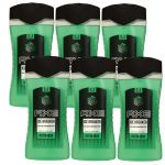 Axe Duschgel 6 x 250 ml Showergel verschiedene Sorten Ice Breaker