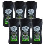 Axe Duschgel 6 x 250 ml Showergel verschiedene Sorten Wasabi & Fresh Linen