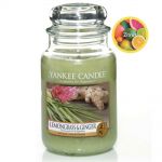Yankee Candle Duftkerze im Glas Jar 623 g Housewarmer - verschiedene Duftsorten Lemongrass & Ginger