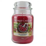 Yankee Candle Duftkerze im Glas Jar 623 g Housewarmer - verschiedene Duftsorten Red Raspberry