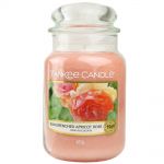 Yankee Candle Duftkerze im Glas Jar 623 g Housewarmer - verschiedene Duftsorten Sun-Drenched Apricot Rose