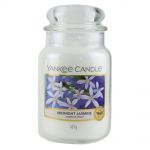 Yankee Candle Duftkerze im Glas Jar 623 g Housewarmer - verschiedene Duftsorten Midnight Jasmine