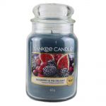 Yankee Candle Duftkerze im Glas Jar 623 g Housewarmer - verschiedene Duftsorten Mulberry & Fig Delight