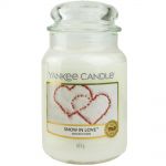 Yankee Candle Duftkerze im Glas Jar 623 g Housewarmer - verschiedene Duftsorten Snow in Love