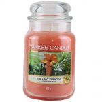 Yankee Candle Duftkerze im Glas Jar 623 g Housewarmer - verschiedene Duftsorten The Last Paradise