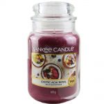 Yankee Candle Duftkerze im Glas Jar 623 g Housewarmer - verschiedene Duftsorten Exotic Acai Bowl