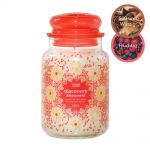 Yankee Candle Duftkerze im Glas Jar 623 g Housewarmer - verschiedene Duftsorten Discovery