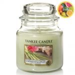 Yankee Candle Duftkerze im Glas Jar 411 g Housewarmer - verschiedene Duftsorten Lemongrass & Ginger