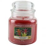 Yankee Candle Duftkerze im Glas Jar 411 g Housewarmer - verschiedene Duftsorten Tropical Jungle