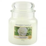 Yankee Candle Duftkerze im Glas Jar 411 g Housewarmer - verschiedene Duftsorten Camellia Blossom