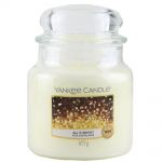 Yankee Candle Duftkerze im Glas Jar 411 g Housewarmer - verschiedene Duftsorten All is Bright