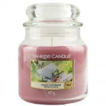 Yankee Candle Duftkerze im Glas Jar 411 g Housewarmer - verschiedene Duftsorten Sunny Daydream