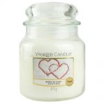 Yankee Candle Duftkerze im Glas Jar 411 g Housewarmer - verschiedene Duftsorten Snow in Love