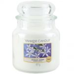 Yankee Candle Duftkerze im Glas Jar 411 g Housewarmer - verschiedene Duftsorten Midnight Jasmine