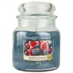 Yankee Candle Duftkerze im Glas Jar 411 g Housewarmer - verschiedene Duftsorten Mulberry & Fig Delight