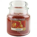 Yankee Candle Duftkerze im Glas Jar 411 g Housewarmer - verschiedene Duftsorten Spiced Orange