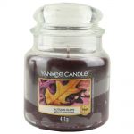 Yankee Candle Duftkerze im Glas Jar 411 g Housewarmer - verschiedene Duftsorten Autumn Glow