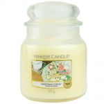 Yankee Candle Duftkerze im Glas Jar 411 g Housewarmer - verschiedene Duftsorten Christmas Cookie