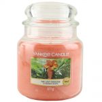 Yankee Candle Duftkerze im Glas Jar 411 g Housewarmer - verschiedene Duftsorten The Last Paradise