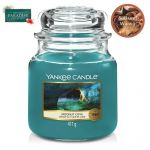 Yankee Candle Duftkerze im Glas Jar 411 g Housewarmer - verschiedene Duftsorten Moonlit Cove