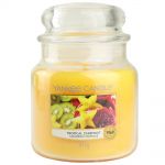 Yankee Candle Duftkerze im Glas Jar 411 g Housewarmer - verschiedene Duftsorten Tropical Starfruit