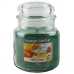 Yankee Candle Duftkerze im Glas Jar 411 g Housewarmer - verschiedene Duftsorten Alfresco Afternoon