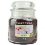 Yankee Candle Duftkerze im Glas Jar 411 g Housewarmer - verschiedene Duftsorten Berry Mochi