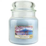 Yankee Candle Duftkerze im Glas Jar 411 g Housewarmer - verschiedene Duftsorten Majestic Mount Fuji