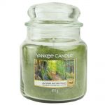 Yankee Candle Duftkerze im Glas Jar 411 g Housewarmer - verschiedene Duftsorten Autumn Nature Walk 
