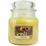 Yankee Candle Duftkerze im Glas Jar 411 g Housewarmer - verschiedene Duftsorten Golden Autumn