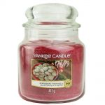 Yankee Candle Duftkerze im Glas Jar 411 g Housewarmer - verschiedene Duftsorten Peppermint Pinwheels