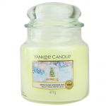 Yankee Candle Duftkerze im Glas Jar 411 g Housewarmer - verschiedene Duftsorten Snow Globe Wonderland