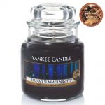 Yankee Candle Duftkerze im Glas Jar 104 g Housewarmer - verschiedene Duftsorten Dreamy Summer Nights