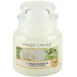 Yankee Candle Duftkerze im Glas Jar 104 g Housewarmer - verschiedene Duftsorten Camellia Blossom