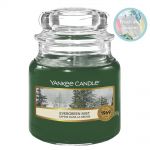 Yankee Candle Duftkerze im Glas Jar 104 g Housewarmer - verschiedene Duftsorten Evergreen Mist