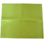 RR Micro Power Fenster und Raumpflegetuch je 5 St�ck 38 x 32cm - verschiedene Farben Gr�n