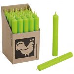 25 Stabkerzen Set 250 x 22 mm Kerzenfarm Kerzen Candle Set - verschiedene Farben Apfelgr�n - Apple Green