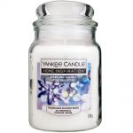 Yankee Candle Home Inspiration Duftkerze im Glas 538 g - verschiedene Duftsorten Sparkling Holiday