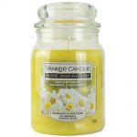 Yankee Candle Home Inspiration Duftkerze im Glas 538 g - verschiedene Duftsorten Daisy Buttercups