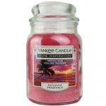 Yankee Candle Home Inspiration Duftkerze im Glas 538 g - verschiedene Duftsorten Tropical Skies