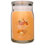 Yankee Candle Signature 2 Docht Duftkerze im Glas 567 g - verschiedene Sorten Mango Ice Cream