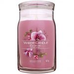 Yankee Candle Signature 2 Docht Duftkerze im Glas 567 g - verschiedene Sorten Wild Orchid