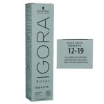 Schwarzkopf Igora Royal Highlifts 60 ml Permanent Highlift Color Creme - freie Farbwahl 12-19 special blond cendre violette